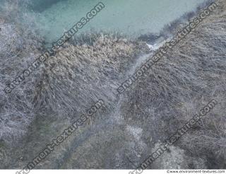 Photo Textures of Ground Grass Dead